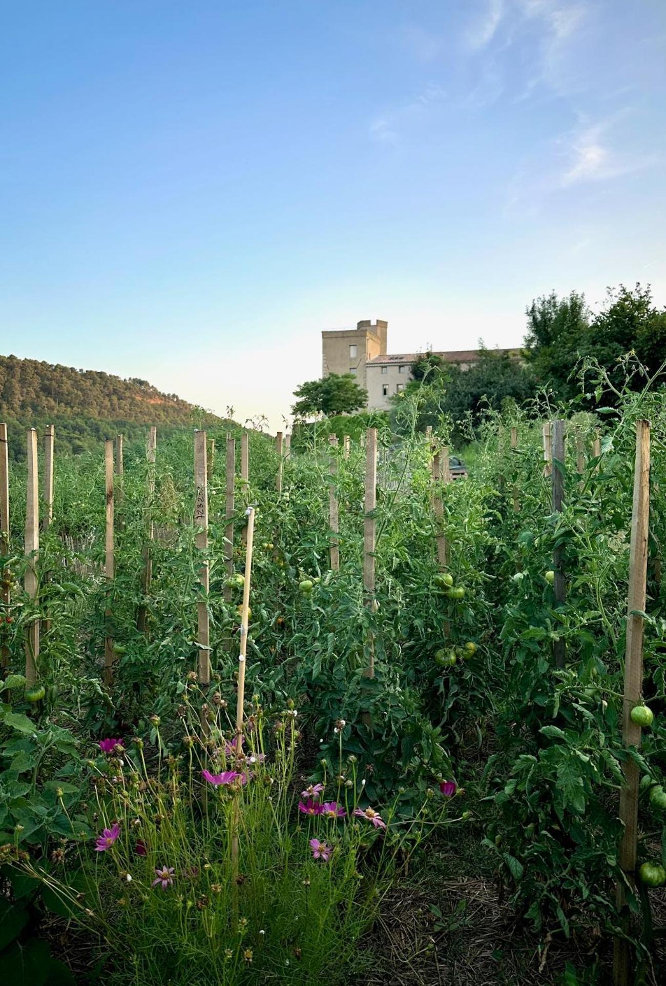 Domaine La Ferme Hi Bride Bed & Breakfast Villelaure ภายนอก รูปภาพ